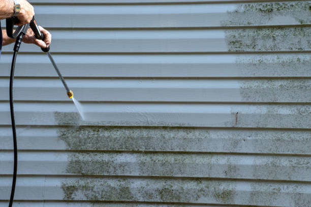 Best Storm Damage Siding Repair  in Solvang, CA