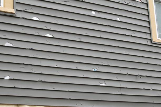 Best Engineered Wood Siding  in Solvang, CA